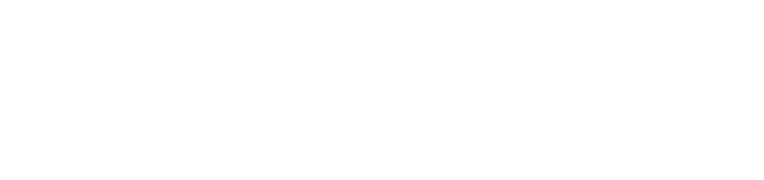 densmedica logo sito bianco densmedica logo sito bianco
